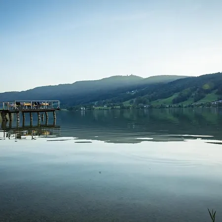 Inn Seewirt Zell am Moos